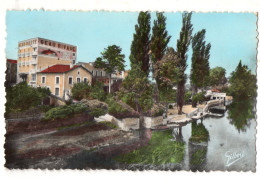 Delcampe - CPA, MANSLE, (16), Les Rives De La Charente Au Pied De L'hotel Beau-rivage, écrite, Timbrée - Altri & Non Classificati