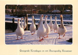 Delcampe - Animaux - Oiseaux - Oies - Geese - CPM - Voir Scans Recto-Verso - Vogels
