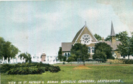 Delcampe - ROYAUME - UNI / UNITED KINGDOM -  Leytonstone : View In St Patrick 's Cemetery - London Suburbs