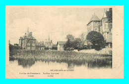 Delcampe - A929 / 509 45 - BELLEGARDE Du LOIRET Pavillon De L'Indépendance Pavillon Capitaine - Autres & Non Classés