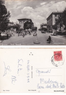 Delcampe - GROSSETO: VIALE MAMELI    1955 - Grosseto