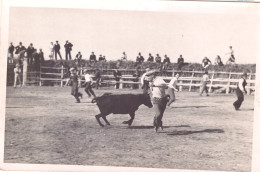 Delcampe - 13 - Bouches Du Rhône - Camargue - Course Libre Dans Arènes Flottantes - Andere & Zonder Classificatie