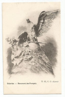 Delcampe - Waterloo Monument Des Français - Waterloo