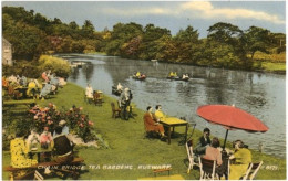 Delcampe - Pf. Chain Bridge Tea Gardens, Ruswarp. 8372 - Whitby