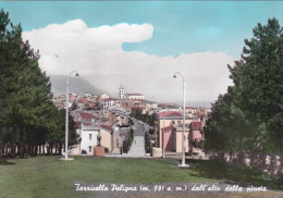 Delcampe - TORRICELLA PELIGNA - Dall'Alto Della Collina - Chieti