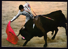 Delcampe - Spain Barcelona 1977 / Corrida De Toros T-49, Rase Con La Derecha, Rase With The Right / Bull - Stierkampf
