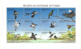 Delcampe - BELARUS -  MNH - A 1996 SHEET OF 12 MNH STAMPS - Birds - Belarus