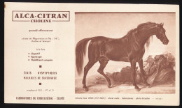 Delcampe - Buvard 20.8 X 12 Laboratoires Du COQUELUSEDAL-ELERTE Alca-citran Cheval Arabe Par Antoine-Jean Gros (1771-1835) - Drogerie & Apotheke