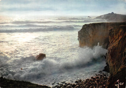 Delcampe - 56-QUIBERON-N°C-4336-C/0315 - Quiberon