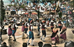 Delcampe - 66* ROUSSILLON -  DANSES CATALANES         (CPSM Petit Format)          MA95,0630 - Other & Unclassified