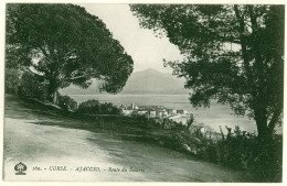 Delcampe - 20 - B18292CPA - AJACCIO - Route Du Salario - Parfait état - CORSE - Ajaccio