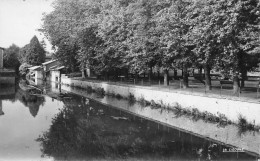 Delcampe - [-5%] FRANCE - Sainte Menehould - Aisne Au Jard  - Parc - Promenade - Banc - Ed La Cigogne - Carte Postale Ancienne - Sainte-Menehould