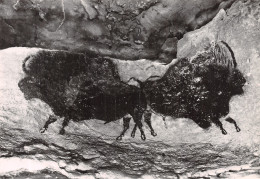 Delcampe - 24-MONTIGNAC SUR VEZERE GROTTE DE LASCAUX-N°T1123-A/0141 - Riberac