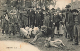 Delcampe - MIKIH-1014 12 RODEZ LE LANGUEYEUR COCHONS AGRICULTURE METIER - Rodez