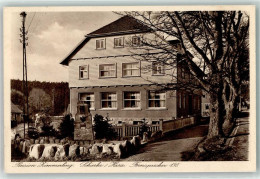 Delcampe - 13934931 - Schierke Am Brocken - Schierke