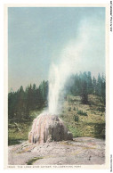 Delcampe - AXXP13-1317-ETATS-UNIS - YELLOWSTONE PARK - The Lone Star Geyser - Yellowstone