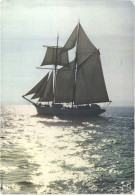 Delcampe - THEMES TRANSPORTS BATEAUX  - CPM 10 * 15 - Voilier - Barque Aux Voiles Blanches - Bretagne  - Belle - Segelboote