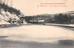 Delcampe - 88-SENONES-N°T5223-D/0145 - Senones