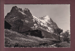 Delcampe - GRINDELWALD - Hörnli - Eiger - 1953 - Grindelwald