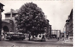 Delcampe - SURESNES                LA CITE JARDIN   RUE DE L ABBE SAINT PIERRE      2 CV + AUTOCAR EN GP - Suresnes