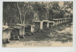 Delcampe - CAMARET SUR AIGUES - Vue D'une Partie Du Rucher De CHAMPFORT - L. BARRIERE Apiculteur - Carte écrite Par L. BARRIERE - Camaret Sur Aigues