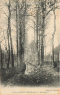 Delcampe - Foret De Rambouillet La Colonie - Rambouillet
