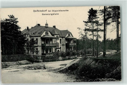 Delcampe - 39226282 - Seifersdorf B Dippoldiswalde - Dippoldiswalde