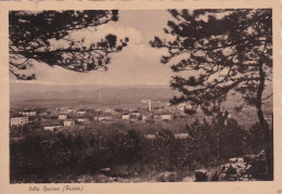 Delcampe - # TRIESTE - VILLA OPICINA - Trieste (Triest)