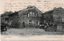 Delcampe - Paliseul Rue Du Moulin - Paliseul