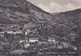 Delcampe - DOGANA (Modena) - Stazione Climatica M. 1100 - Panorama - Modena