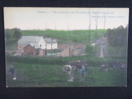 Delcampe - Chimay Tir National Des Pompiers Et Moulin Du Blanc (colorisée) - Chimay