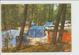 Delcampe - Somme : QUEND Plage Les Pins :  Le Camping Dans Les  Pinèdes - Quend