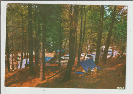 Delcampe - Somme : QUEND Plage Les Pins :  Le Camping Dans Les  Pinèdes - Quend