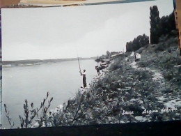 Delcampe - SACCA DI COLORNO PO A PARMA  PESCA PESCATORE  N19680 KO1016 - Parma