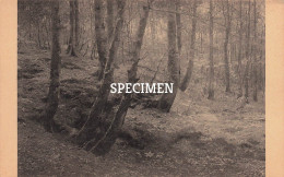 Delcampe - Elsene - Palais Des Beaux-Arts Ixelles -- Jean De Greef - La Source De L'Empereur - Ixelles - Elsene