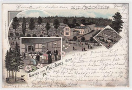 Delcampe - 39077806 - Gera, Lithographie. Gruss Vom Waldhaus Gelaufen, 1897. Oxydationsspuren An Den Raendern, Leichter Stempeldur - Gera