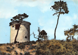 Delcampe - 83-LA GARDE FREINET-N°TB3549-D/0185 - La Garde Freinet