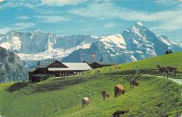 Delcampe - SUI-SUISSE GRINDENWAL FIRST TIMBRE POSTE-N°4143-E/0137 - Inden