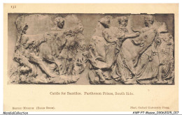 Delcampe - AWPP7-0466-MUSEE - British Museum - Cattle For Sacrifice - Parthenon Frieze - South Side - Museen