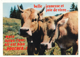 Delcampe - Carte Humoristique - Vaches - Ed Cellard - Cows