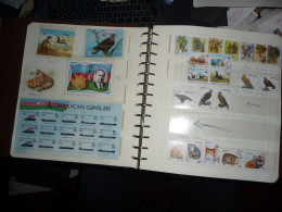 Delcampe - AZERBAIDJAN - Aserbaidschan