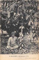 Delcampe - DAHOMEY - UN COCAOYER - Dahome