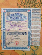 Delcampe - - ACTION ETABLISSEMENTS PATHÉ FRÈRES - PHONOGRAPHE & CINÉMATOGRAPHE - - Kino & Theater