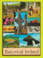 Delcampe - IRLANDE Ireland Historical Ireland People & Places N°124 Chien Dog VOIR DOS - Sonstige & Ohne Zuordnung