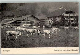 Delcampe - 3766 Boltigen - Rindvieh Tiergruppe Der Gebr. Ueltschi - 13251069 - Boltigen