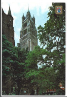 Delcampe - Brugge Sint Salvator Kerk Foto Prentkaart Bruges - Brugge