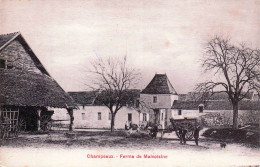 Delcampe - 50* CHAMPEAUX  Ferme De Malvoisins           RL48,0596 - Bauernhöfe
