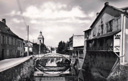 Delcampe - 46* ST CERE  Vieilles Maisons Sur La Bave  (cpsm 9X14cm)        RL48,0495 - Saint-Céré