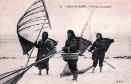 Delcampe - 59* MALO LES BAINS   Pecheuses De Crevettes           RL48,1444 - Fischerei