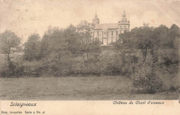 Delcampe - [-20%] BELGIQUE - Sclaigneaux - Château Du Chant Doiseaux - Nels Bruxelles Serie 9 No 46 - Carte Postale Ancienne - Andenne
